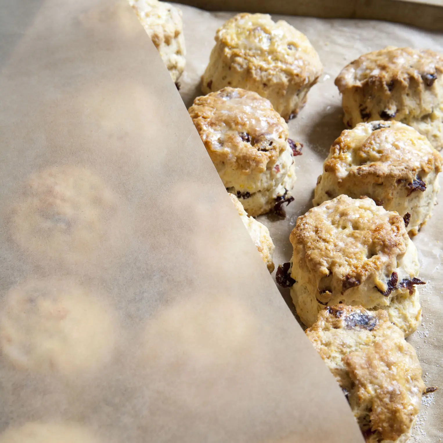 ghi-spenj00739 (2).jpg